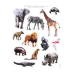 Aufkleber Savannah Tiere 2 16621-apli-kinder