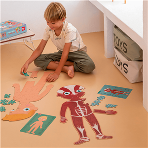 Puzzle Menschlicher Körper – Bild 6