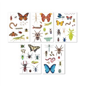 Stickerset Insectenwereld 5 Stickerset Insectenwereld – Bild 3